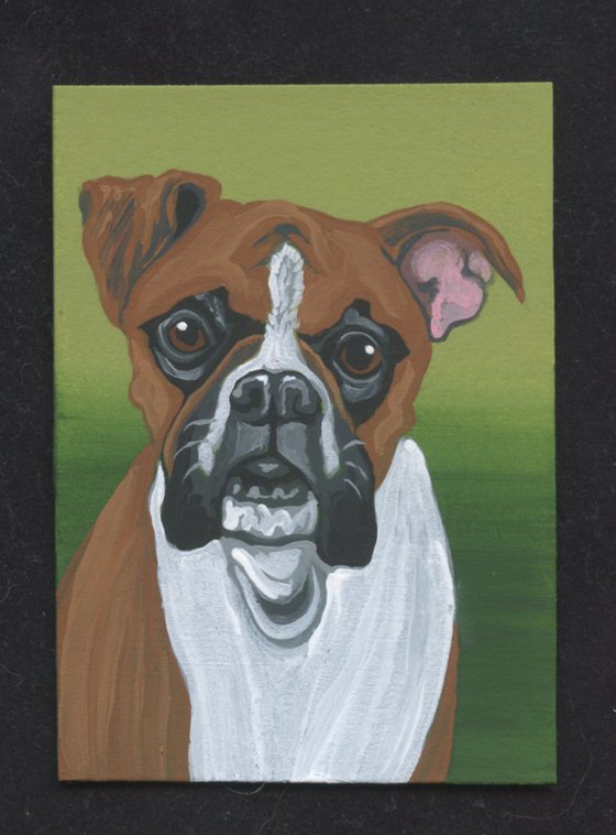 ACEO ATC Original Miniature Painting  Boxer Pet Dog Art-Carla Smale