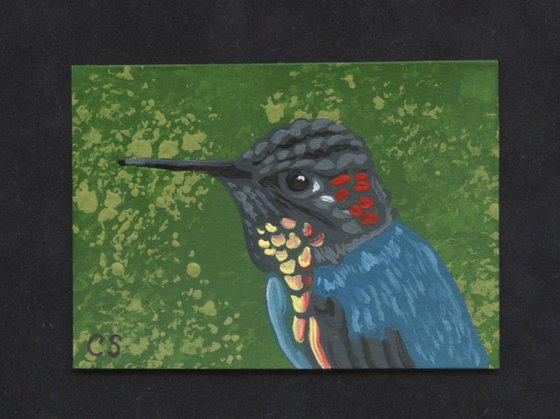 ACEO ATC Original Miniature Painting Hummingbird Wildlife Bird Art-Carla Smale