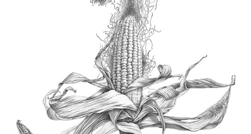 Artwork by Nataliia Kupchyk