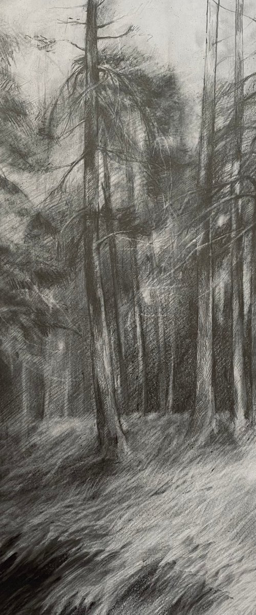 Forest by Artem Grunyka