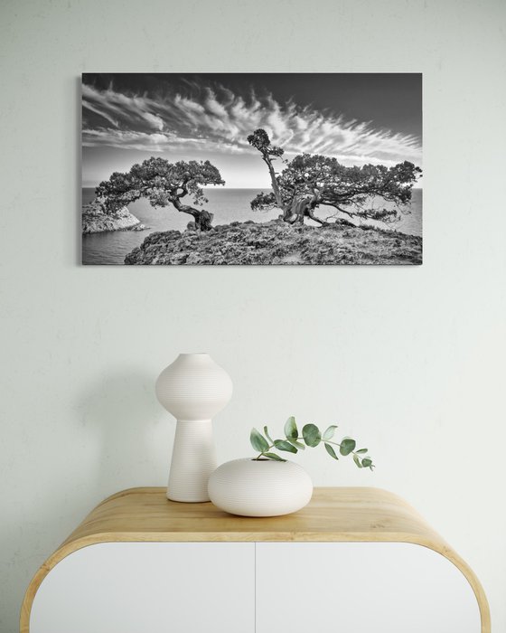 Guardians of the Cliff