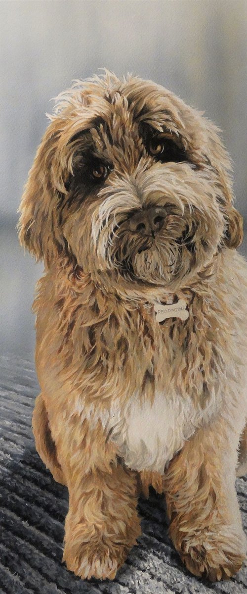 Ossie by Julian Wheat