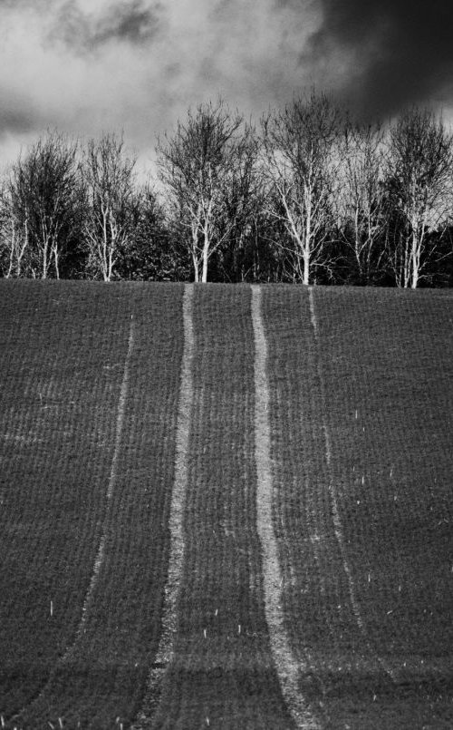 Planted Field I by Charles Brabin