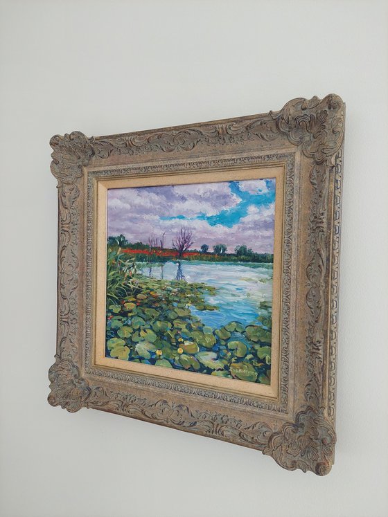 Waterlilies on the River Bure