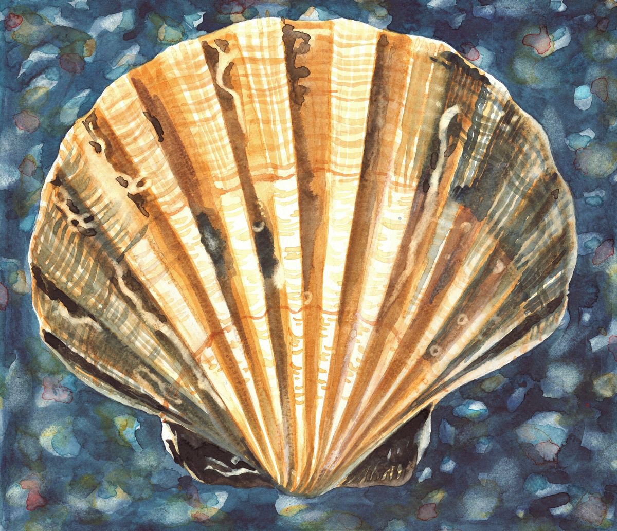 SHELL II by Nives Palmic