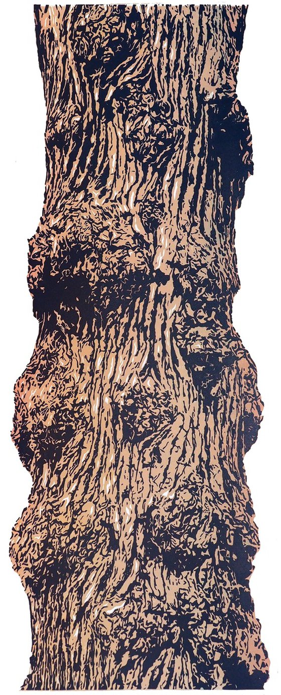 Burl Oak