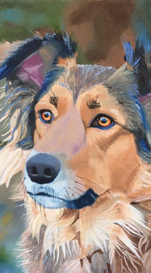 Collie Dog by Jill Ann Harper