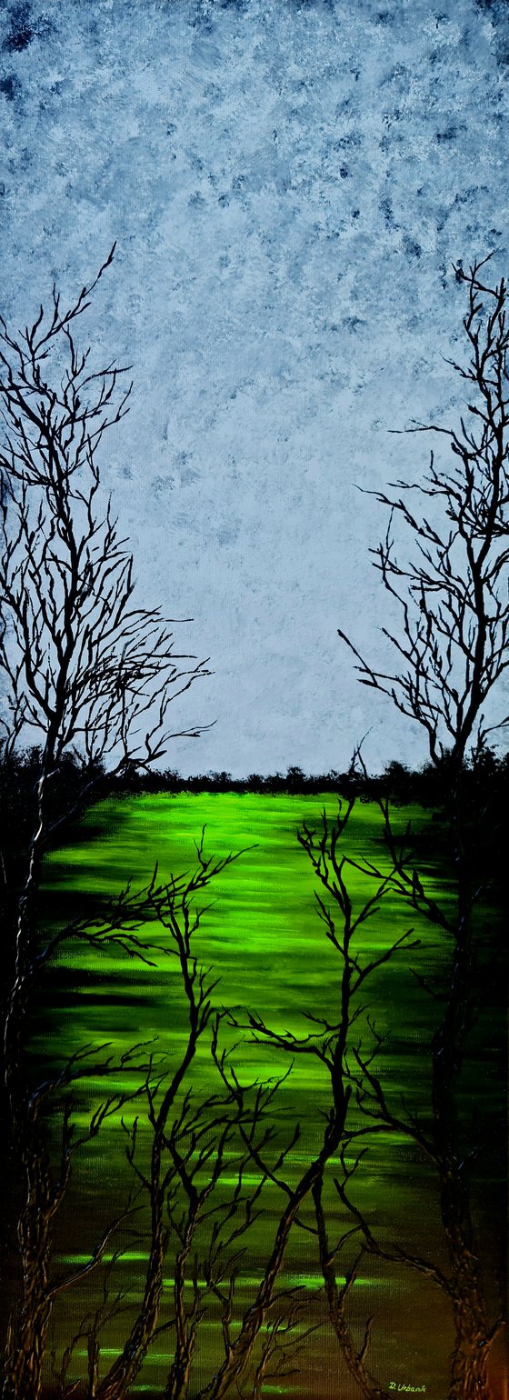 Green lake 1