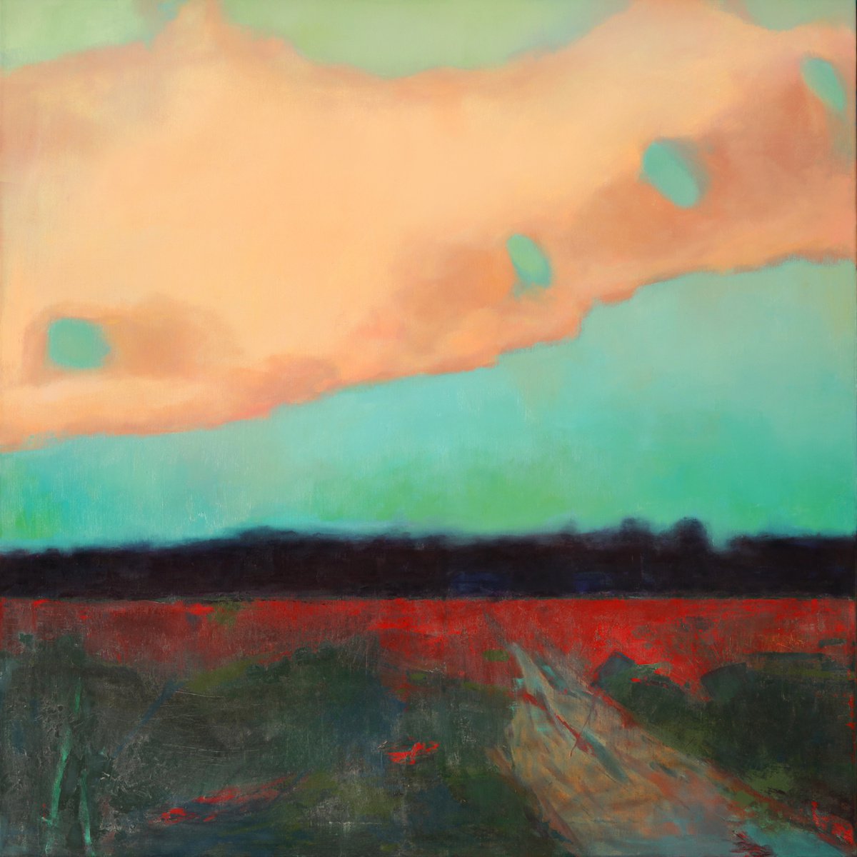 Hole Punch Clouds 30x30 inch 76x76 cm by Bo Kravchenko by Bo Kravchenko