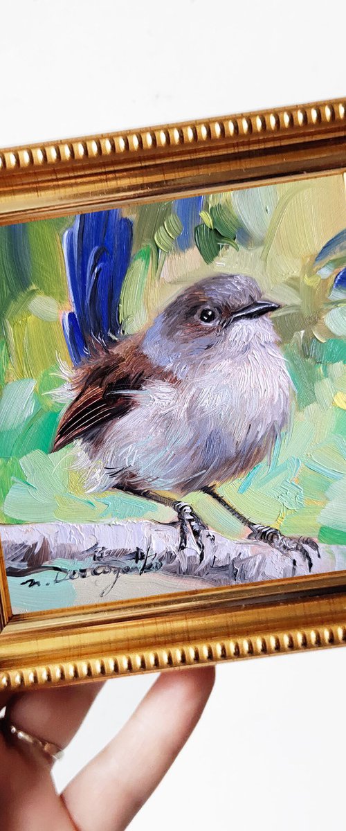 Fairywren bird by Nataly Derevyanko