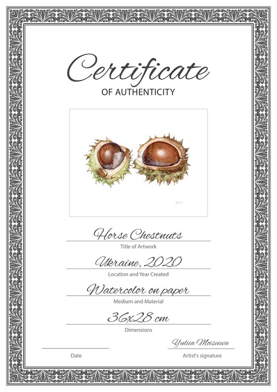 Horse Chestnuts