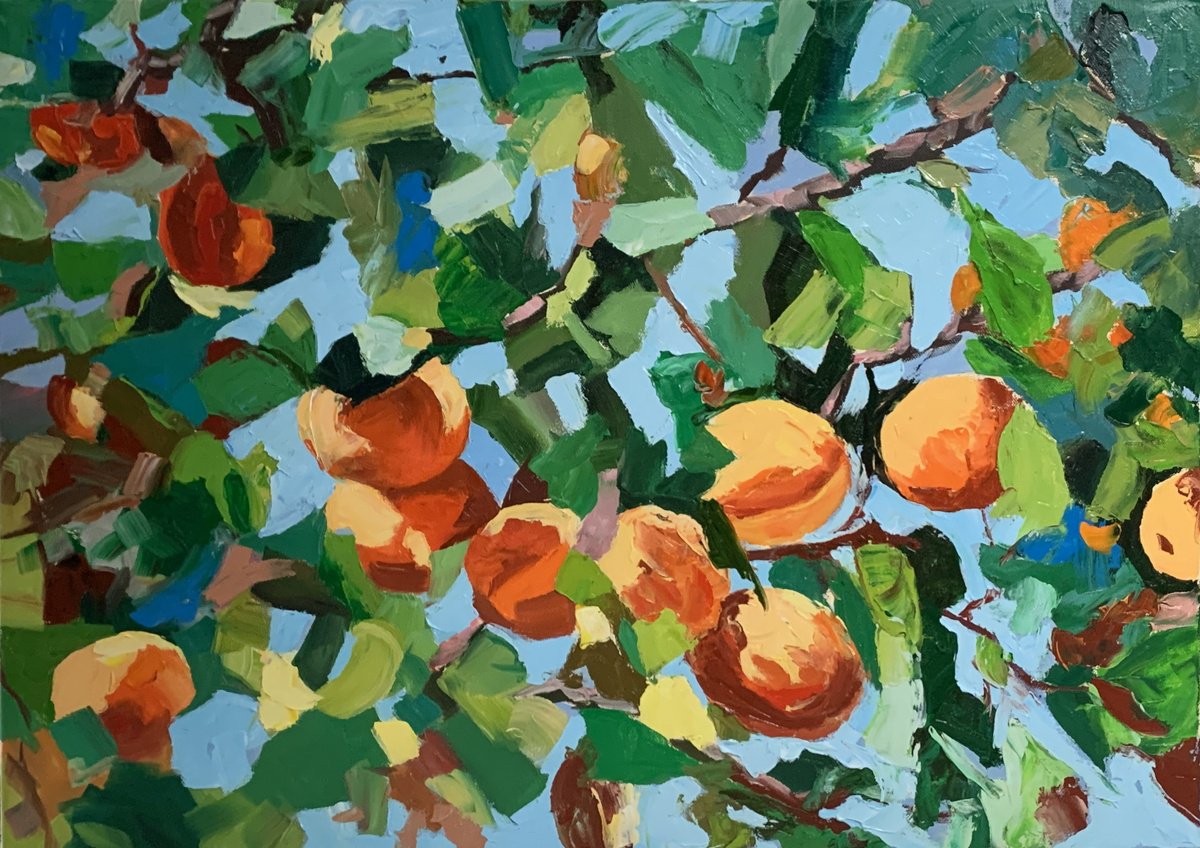 Apricot Garden. By Vita Schagen, 28 X 20, Artwork For Sale On Artfinder