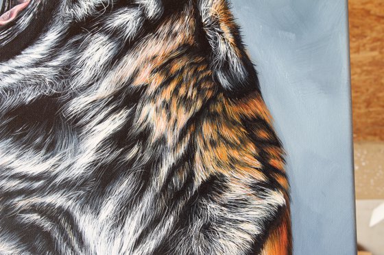 Tiger