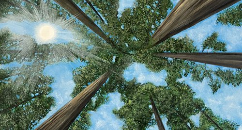 Artwork by Victoria Obolensky