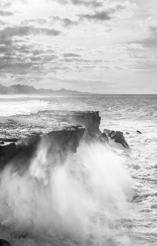 THE WILD COAST by Andrew Lever