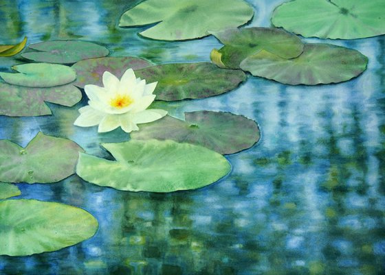 Lily Pad - Water Lilies - Lily painting - Water lilies - Water Lily Pond -  waterlily lake