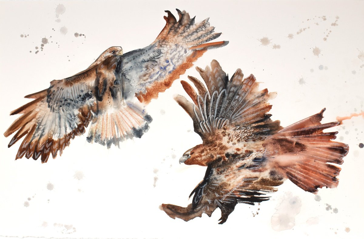 Expressive Animal Watercolour By Elizabeth Becker, 40 X 26, Two Hawks, Original Artwork