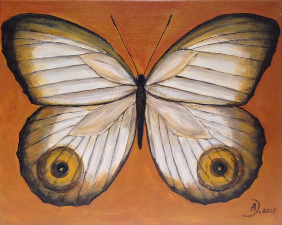 Butterfly VI