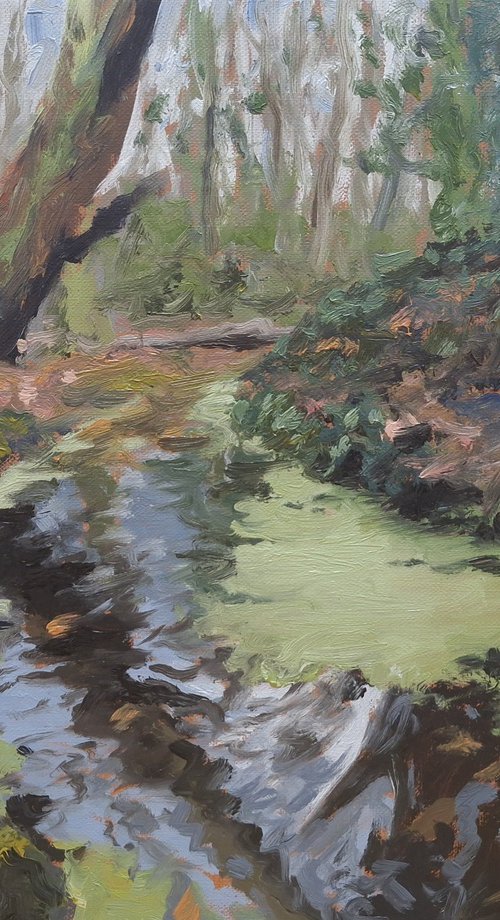 Woodland Stream by Robert Mee