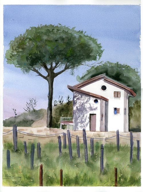 Captivating Italy: Stone Pine And White Small Houses by Olga Shefranov (Tchefranov)