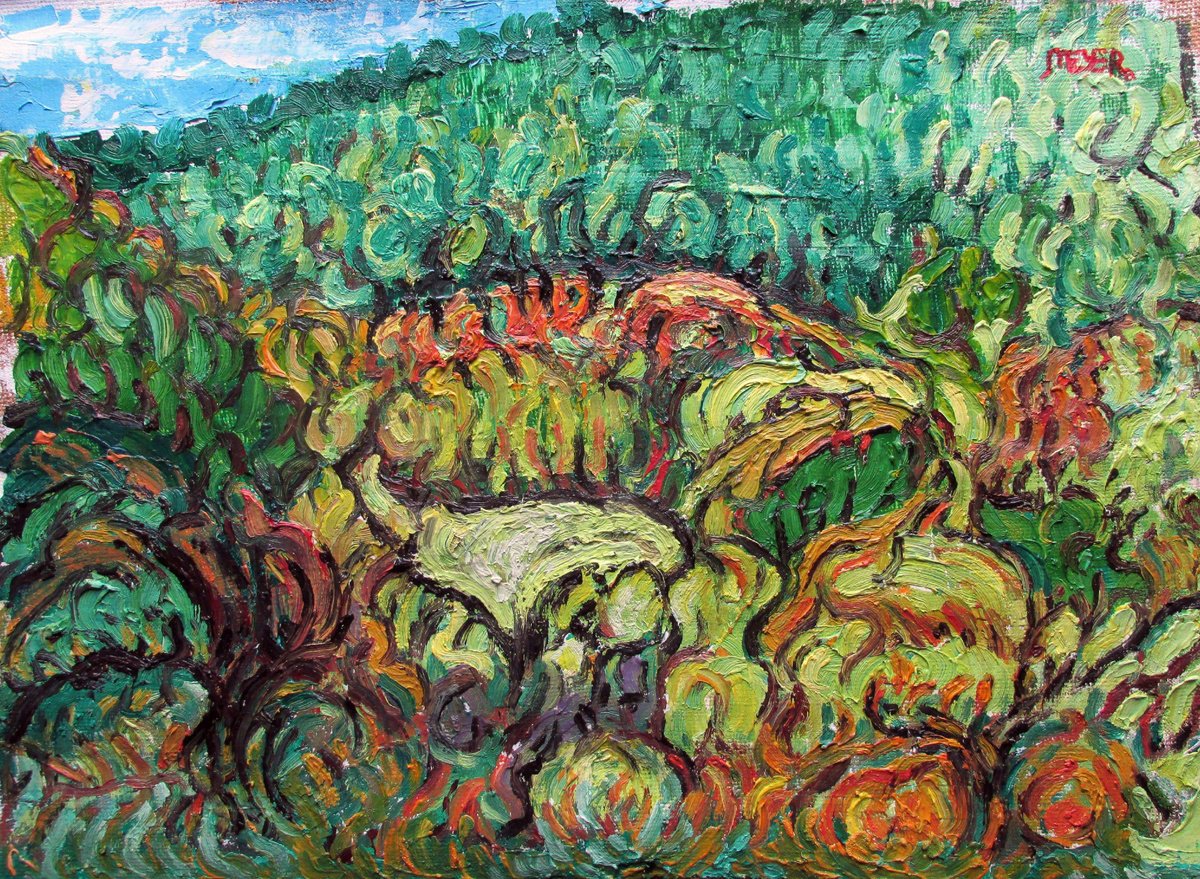 Expressive Landscape Oil Painting By Richard Meyer, 22 X 15", Highland Landscape Ex 23.V.24, Original Artwork