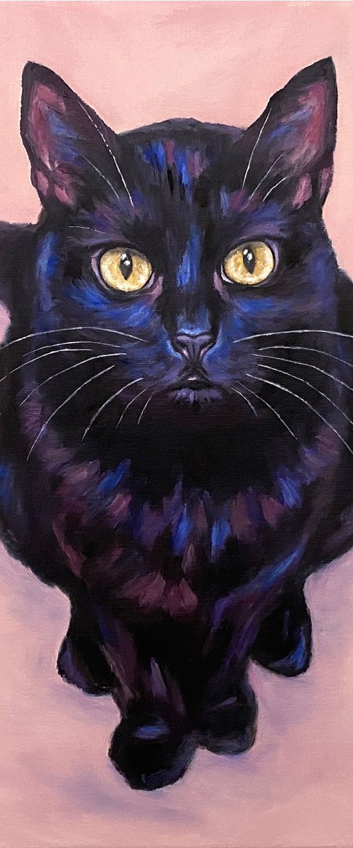 Yellow eyes by Olga Kurbanova