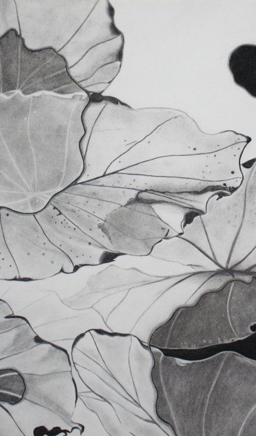 Leaves & Drops of Philodendron by Laura Stötefeld