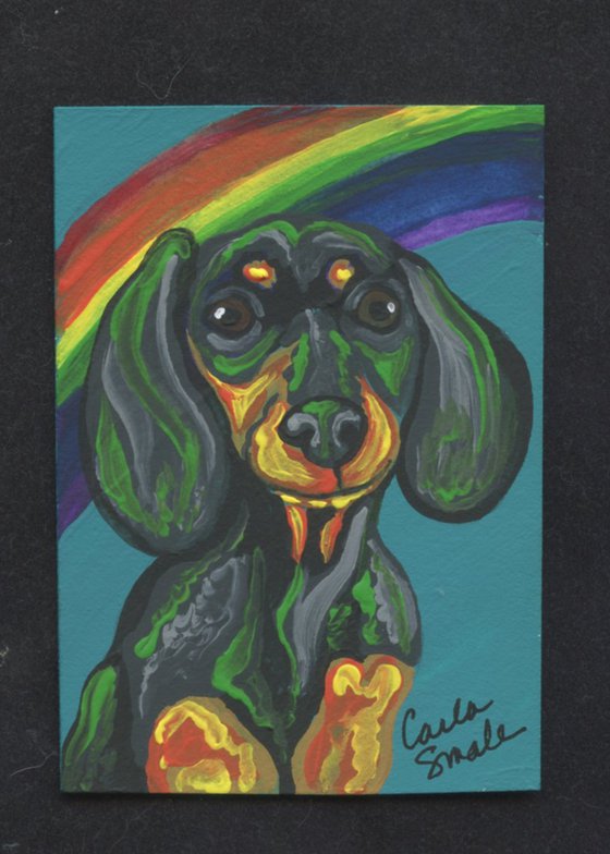 Rainbow Dachshund