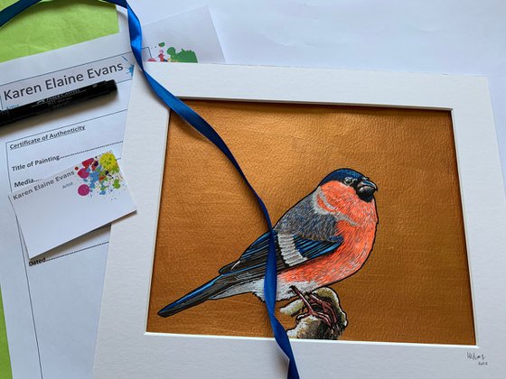 British Garden Birds series - Bullfinch