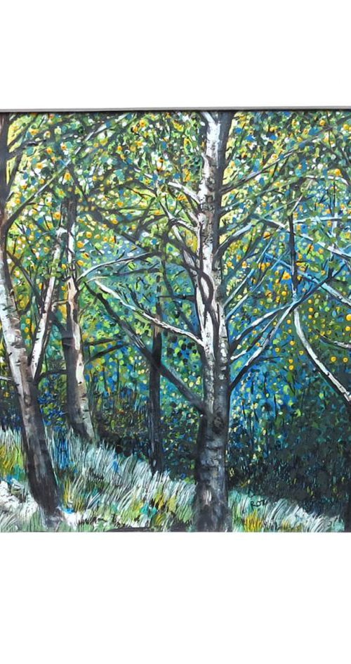 Woodlands 1 by Roz Edwards