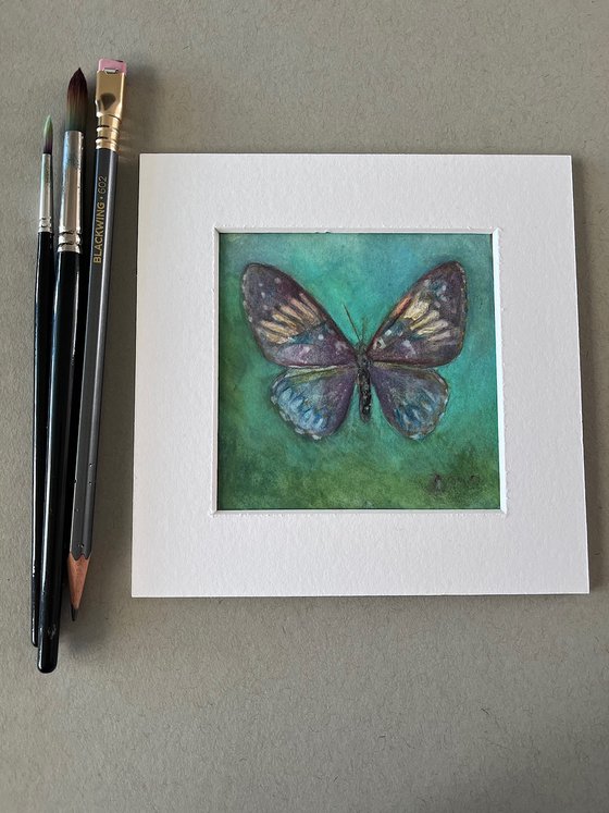 Butterfly I