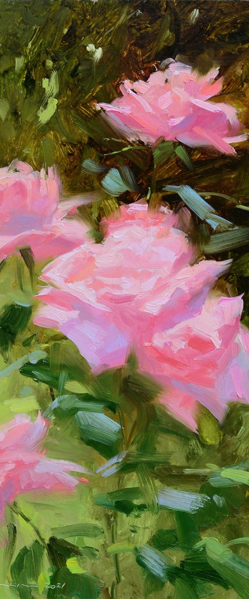 Roses on a sunny day by Ruslan Kiprych