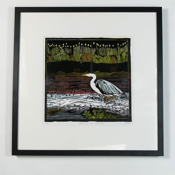 Heron in the shallows