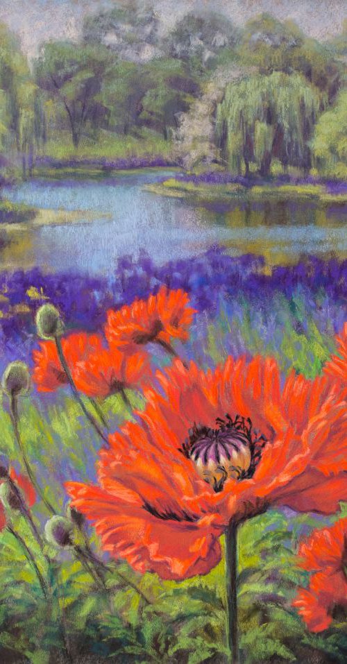 Red Poppies, 1 by Fiona Craig