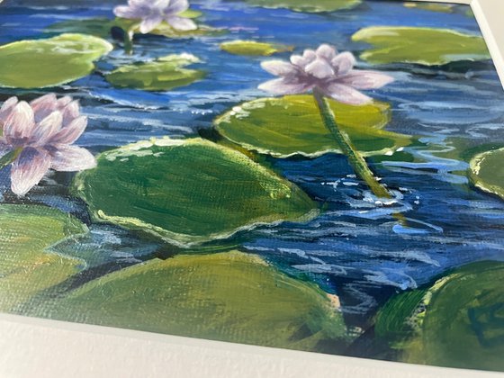 Lilac water lilies