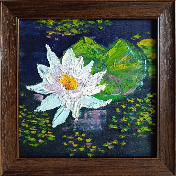 WATER LILY II