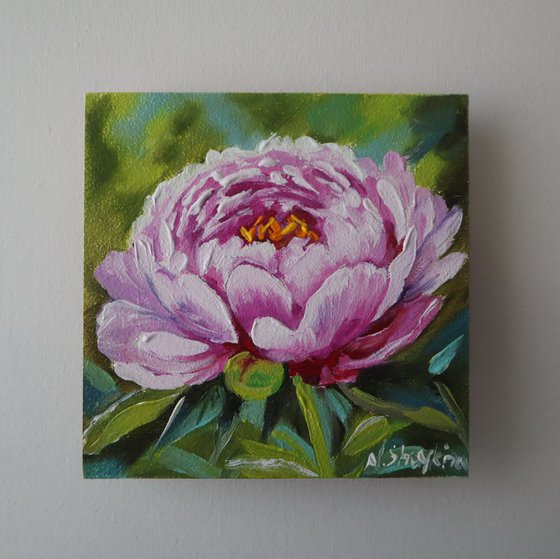 Peony and Rose Miniature Set