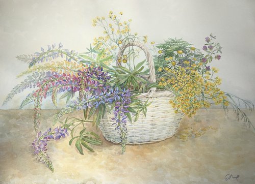 Meadow flowers by Gintarė Petrauskienė