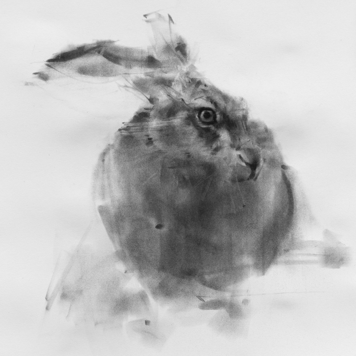 Hare No 2 by Tianyin Wang