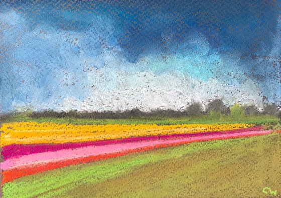Norfolk Tulips - Landscape Art