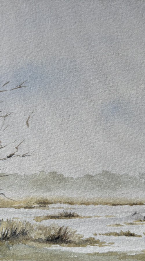 Little Egret fishing by Noel Sawyer