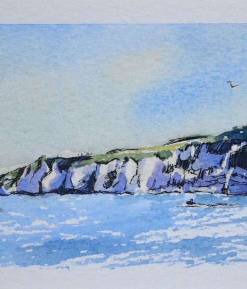 Jurassic Coast by Denise Mitchell
