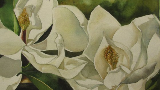 double magnolia