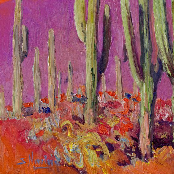 Saguaro Catuses