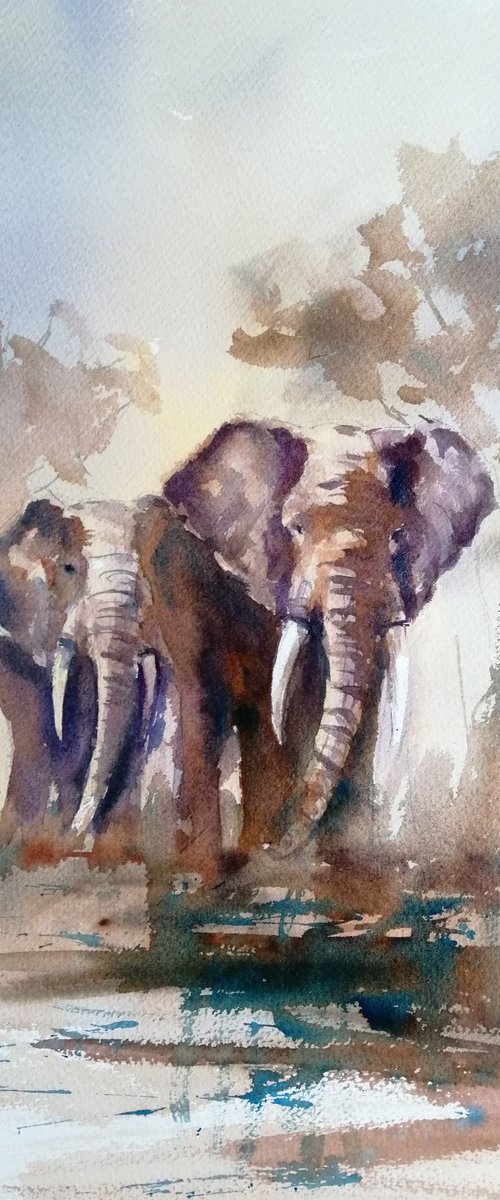 elephant 23 by Giorgio Gosti