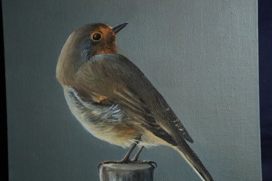 Lockdown's Morning Chorus Series - Red Robin, Bird Artwork, Animal Art Framed