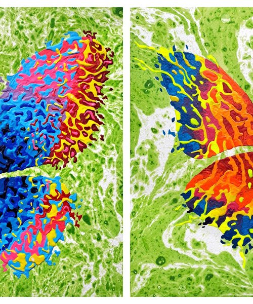 Set of 2 «Bright Summer» by Mariia Raskin