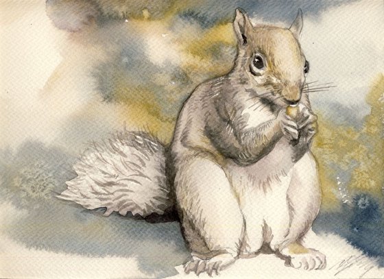 squirrel watercolor