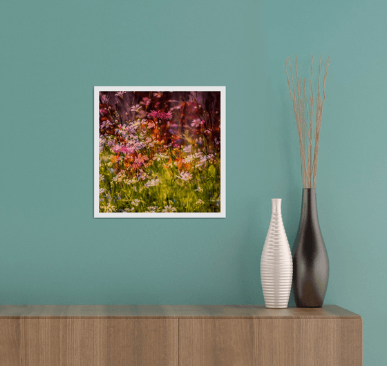 Summer Meadows #1. Limited Edition 1/25 12x12 inch Photographic Print.