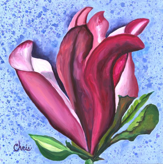 "Anne" Magnolia Blossom II